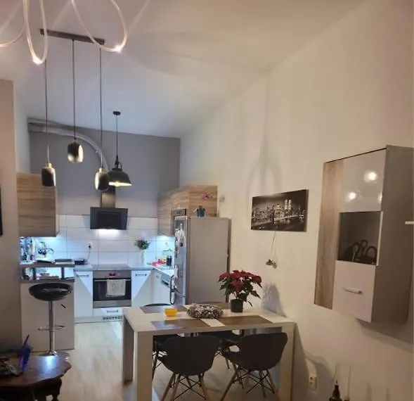 Luxury Apartment ブルノ