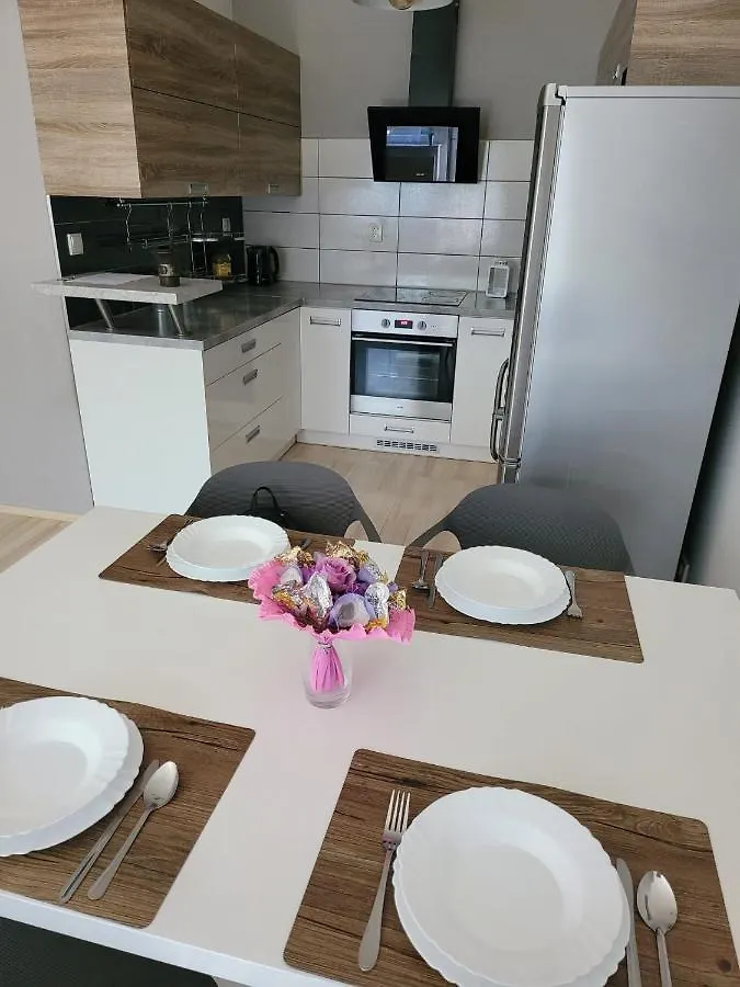 Luxury Apartment ブルノ