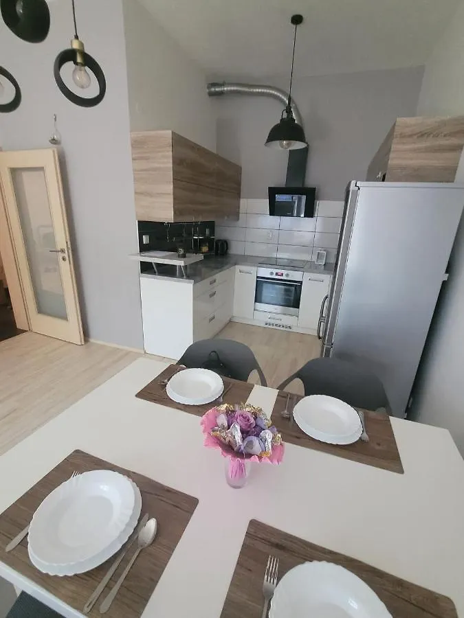 Luxury Apartment ブルノ