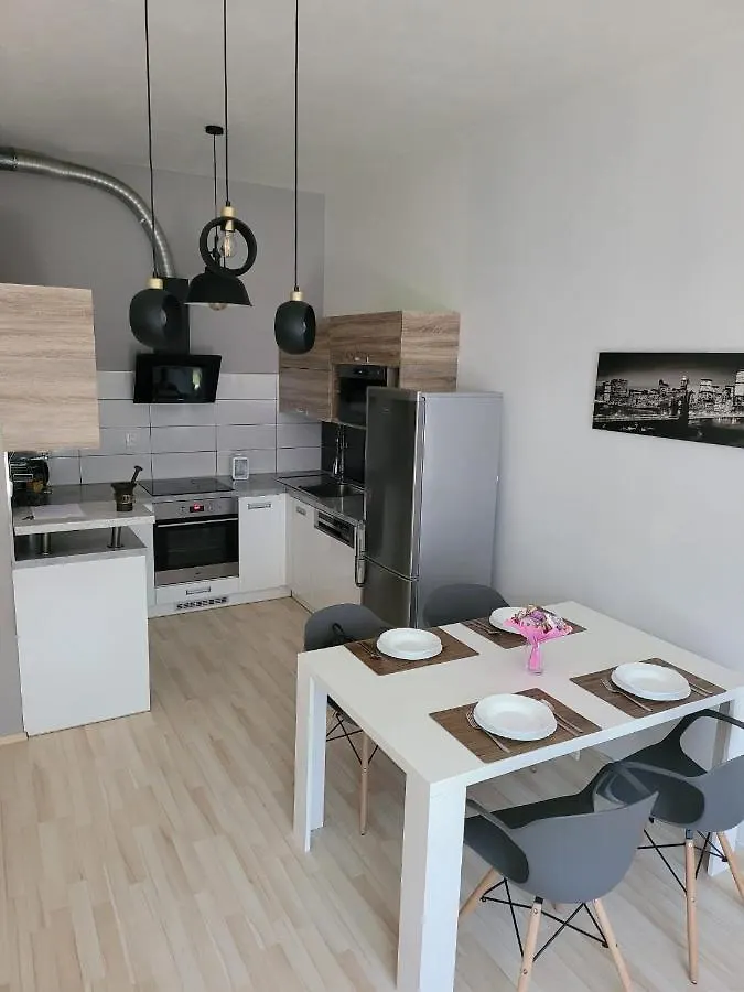 Luxury Apartment ブルノ